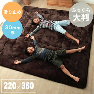 O 傫 唻 n Vv ~zcɂIݖ3cm̒唻^Cv̂ӂ烉O 220×360cm CPqR J[ybg ~ ɂ h {[ NbV ۉ Ɍ Ap