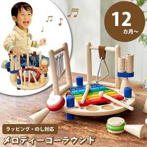 赤ちゃん おもちゃ 1歳 楽器玩具の人気商品 通販 価格比較 価格 Com