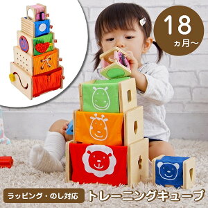 知育玩具 2歳 女の子の人気商品 通販 価格比較 価格 Com