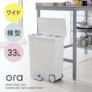 S~  X  Lb` ႭJt^̃Vvȃy_S~ Ora IA Ch R^ 25L LBD-11 CNCbg Like-it zCg  Vv y_