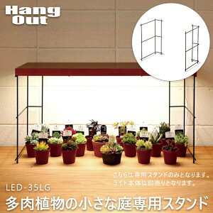 多肉植物 庭 おしゃれの人気商品 通販 価格比較 価格 Com