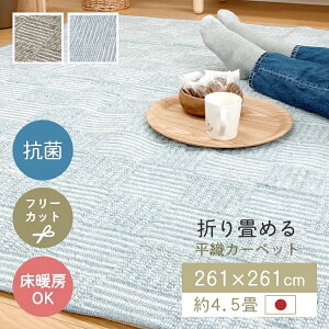 O J[ybg { ߂ 261×261cm 4.5 R t[Jbg g zbgJ[ybgΉ  |{bgΉ 􉽊w u[ x[W Vv rO a I[V[Y 