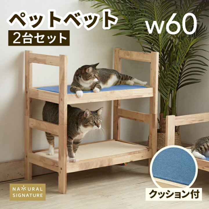 楽天市場】【エントリーでP5倍】ネコ 猫 ペット ベッド キャットハウス  
