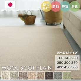 ラグ シンプル 無地 約1.5畳 タフテッドラグ カーペット コンシェルジュ WOOL SCOT PLAIN ウールスコット プレーン 140×200cm スミノエ カーペット 消臭 防炎 静電気防止 防虫 防ダニ cup5