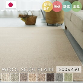 ラグ シンプル 無地 約3畳 タフテッドラグ カーペット コンシェルジュ WOOL SCOT PLAIN ウールスコット プレーン 200×250cm スミノエ カーペット 消臭 防炎 静電気防止 防虫 防ダニ cup5