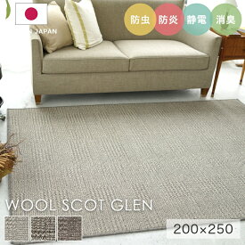 ラグ シンプル 約3畳 タフテッドラグ カーペット コンシェルジュ WOOL SCOT GLEN ウールスコット グレン 200×250cm スミノエ カーペット 消臭 防炎 静電気防止 防虫 低ホルムアルデヒド cup5