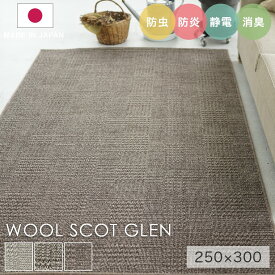 ラグ シンプル 大きめ タフテッドラグ カーペット コンシェルジュ WOOL SCOT GLEN ウールスコット グレン 250×300cm スミノエ カーペット 消臭 防炎 静電気防止 防虫 低ホルムアルデヒド cup5