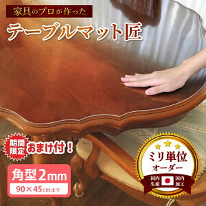 y11/20`Ԓ܂tzfXN}bg  ʔ] e[u}bg _CjO e[u}bgi݁jp^2mm 90×45cm܂  e[u}bg e[uNX h~ 