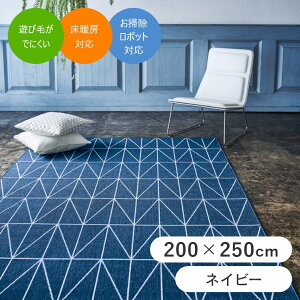 k̃VvȃEBgO lI 200×250cm zbgJ[ybgΉ v[x k NbV  zCg lCr[ |vs EBgD J[ybg O|O~ J