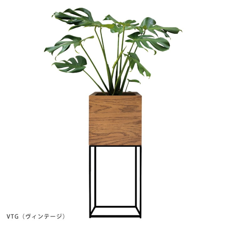 楽天市場 あす楽 鉢カバー おしゃれ Otto Lサイズ シギヤマ家具 木製 北欧 シンプル 室内 屋外 鉢スタンド グリーンスタンド フラワー スタンド 観葉植物 スタンド プランタースタンド 鉢スタンド プランターボックス 鉢カバー 家具のホンダ
