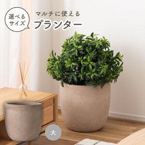 v^[  Aؔ Jo[  P Ϗܗp IׂTCY zCg ϗtA O   Vv ubN i` O[ 킢   x[W }bg fފ