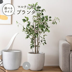 v^[  Aؔ Jo[  P Ϗܗp IׂTCY zCg ϗtA O   Vv ubN i` O[ 킢   x[W }bg fފ