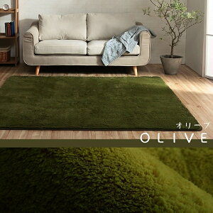 O 􂦂 3 VM[ @ŊېOKII[V[YgVM[O tBbv2 200×250cm CPqR O J[ybg n Vv k  EHbVu ɍ׃}CN