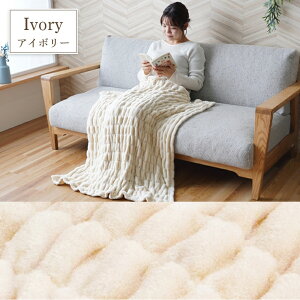 Ђ| uPbg n[tPbg n[tTCY ѕz tl ݃J[ k n Vv WjAPbg WjAѕz qǂpѕz 70×120cm 􂦂 @Ő􂦂 