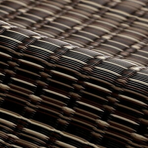 ダイニングラグ 拭ける おしゃれ 洗える 汚れに強い!ふき取るだけでお掃除OK!洗える い草調ラグ・カーペット 約435×352cm 江戸間10畳 イケヒコ アルコール 除菌 除菌スプレー 日本製 国産 汚