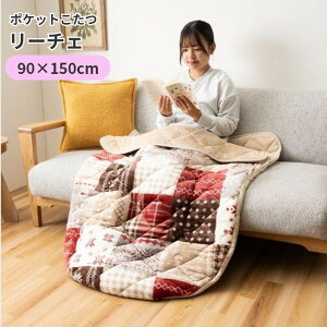 ������ �|�P�b�g������ ���[�`�F�y90×150�z��l�p������ �ǂ��ł� �ۉ� �ۂ��ۂ� ���� �������� �����ۂ� �����^�� �t�����l�� �k�� ������� ���r���O �f�X�N���[�N �e�����[�N �A�E�g�h�A 