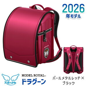 fC hO[ MR22B Vĝ͂ hZ ZCo 2026Nf j̎qp y JbRCC y  Cۏ؃hZ p[^} p[^bh