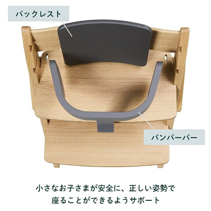 楽天市場】moji イッピー専用 スターター・セット（ハーネス付き  