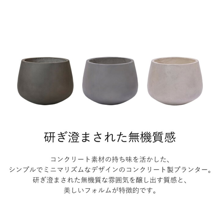 最終決算 エイムズ バルブプランター 19−462 topdental.com.ar 最終決算 エイムズ バルブプランター 19−462 topdental.com.ar