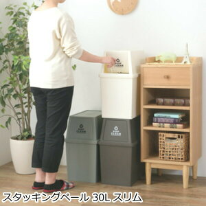 S~ X^bLOy[ 30L  X  ӂt _Xg{bNX