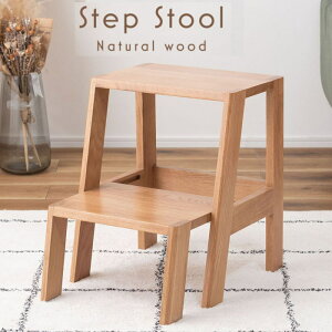 Xc[ wStep stoolx Xebv ݑ fBXvC i` Vv ؐ VR  TChe[u [  rO _CjO RpNg 