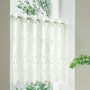 JtFJ[e(pJ[e)@[X 45cm gR JtFJ[e I[_[(؂蔄) TKF30799 zCg ɉoĂI[_[JtFJ[e