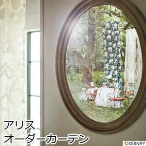 fBYj[@I[_[J[e@ Diseney HOME SERIES/fBYj[z[V[Y@AX ӂ̍̃AX EHbVu `LH ՌJ[e {