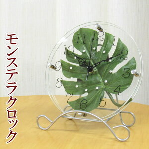 �u���v���Ǌ|�����v �A�i���O �n���C�A�� ������� �|�����v�A�u�����v���p �w�A�[�g���[�t�N���b�N�x �X�^���h�t�� �����X�e���̗t(����)���������C���e���A�N���b�N�B�n���C�A���A�A�W