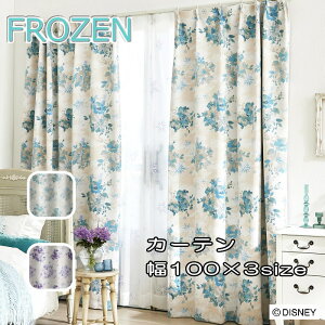 fBYj[ J[e Ռ h[vJ[e 100×135/100×178/100×200cm (1) wt[Y/ACXu[xu[O[/p[v AiƐ̏ Ai It  ̌ ՌJ[e