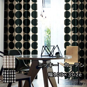 fBYj[@J[e Ռ 100×135cm/100×178cm/100×200cmi1j k ~bL[/XR[v x[W ubN hbg ՌJ[e  킢 q j̎q