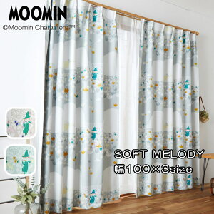 ՌJ[e k [~ 100×135cm/100×178cm/100×200cm (1) w\tgfB[x XitL `[bv ԕ J[e EHbVu Ռ2 `L { x[W u[ 