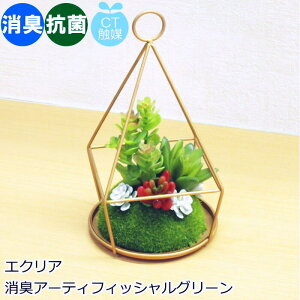 yX[p[SALEzztFCNO[ CTG}(LERہEh) A (t) CeAO[ GNA LA[eBtBVO[ wp`eE^Cvx ACA