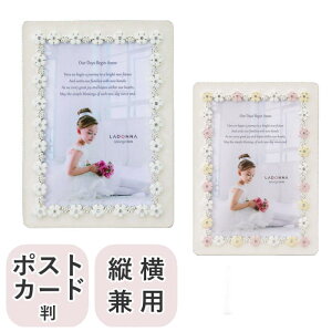 tHgt[ ʐ^ hi |XgJ[hTCY(nKLTCY) cp wXC[gt[t[x j oYj 蕨 EFfBO uC_ xr[ xr[tHgt