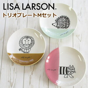 T[\ M3Zbg k uh |Ev[c wgIv[gMx (19cmv[g×3Zbg) H  킢 P[LM M Vzj