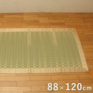 Y |D OiOj wÑx 88×120cm    Y @{ O @ ~ 蕨 a ȒP  RۖhL  L C ɂ