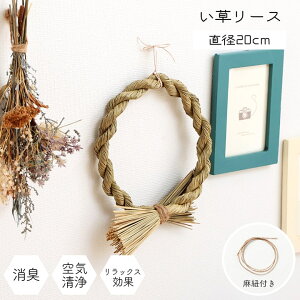  [X G  L bNX AW 20cm wC[Xx G Y { ȒP  RۖhL  L C ɂ