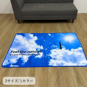 G 50×105cm wu[XJC x ~ Oi{fBOOj O ʖhV[g RpNg