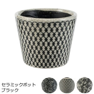 Jo[(v^[Jo[) 퐻 wZ~bN|bg ubNx 14×11.5cm ȃv^[ Aؔ