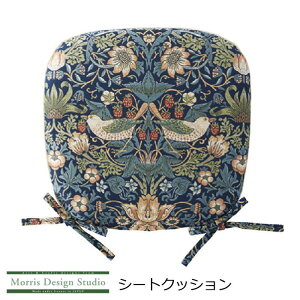 �V�[�g�N�b�V���� �Ђ��t�� �n�� �����p �w�������D�_�x 45×43V MorrisDesignStudio/�����X�f�U�C���X�^�W�I �u���[/�u���[�O���[��/���b�h �A����/������/��