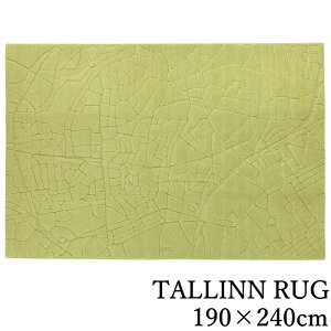 ���O�}�b�g ���n �k�� 190×240cm �i�����`/��3��jDESIGN LIFE/�f�U�C�����C�t�@�w�^�������O�x�y���g�Ή�/�z�b�g�J�[�y�b�g�Ή�/�h�_�j/�V�ііh�~/���{��/�C�G���[�O���[���z