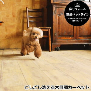 J[ybg 200×400cm(`) w{tA[ i`Yx ؂ςȂ ybg ؖڒ ~ h 􂦂 R O}bg