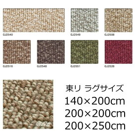東リ ナイロン ラグサイズ 無地 『グレース』 撥水 防汚 防ダニ 全7色 オールシーズン 無地 絨毯 じゅうたん 日本製 カーペット