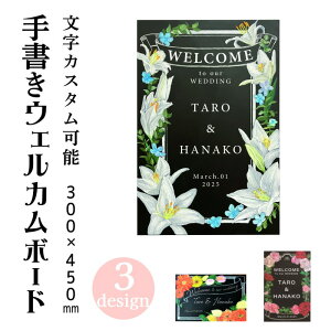 菑 EFJ{[h j EFfO `[NA[g Ǌ|^Cv