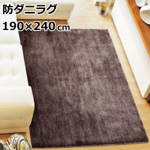 ���O�}�b�g �wMC-100�x 190×240cm(�����`) �h�_�j ����~�ߕt �􂦂� �ӂ�ӂ� ���O �O���[��/�u���[/�u���E��/�O���[