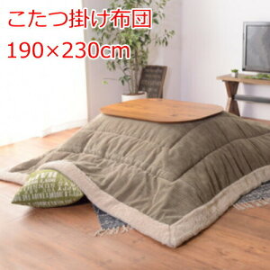 |zc ` 190×230cm R[fC ȃXy[X |^Cv Be[W J[L