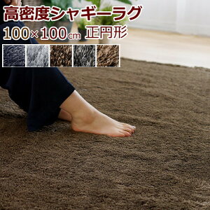 ���O�}�b�g �V���M�[ ���a100cm(�~�`/�ی^) �w�l�I�O���X�x �S5�F ���{�� �h�_�j/����~��/���g�Ή��E�z�b�g�J�[�y�b�g�Ή� �V���M�[�J�[�y�b�g ����