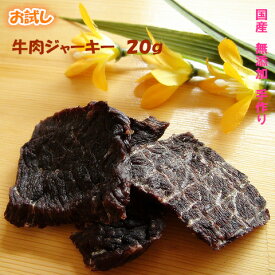 楽天市場 犬 牛肉ジャーキーの通販