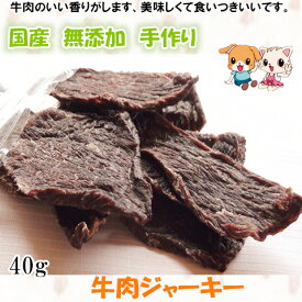 楽天市場 おやつ 犬 牛肉の通販