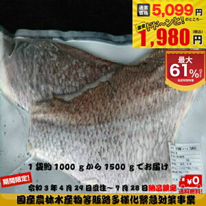 天然 マダイ 魚の人気商品 通販 価格比較 価格 Com 天然 マダイ 魚の人気商品 通販 価格比較 価格 Com