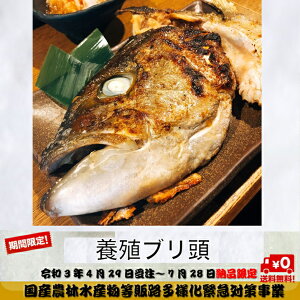 ぶり 冷凍 魚の人気商品 通販 価格比較 価格 Com
